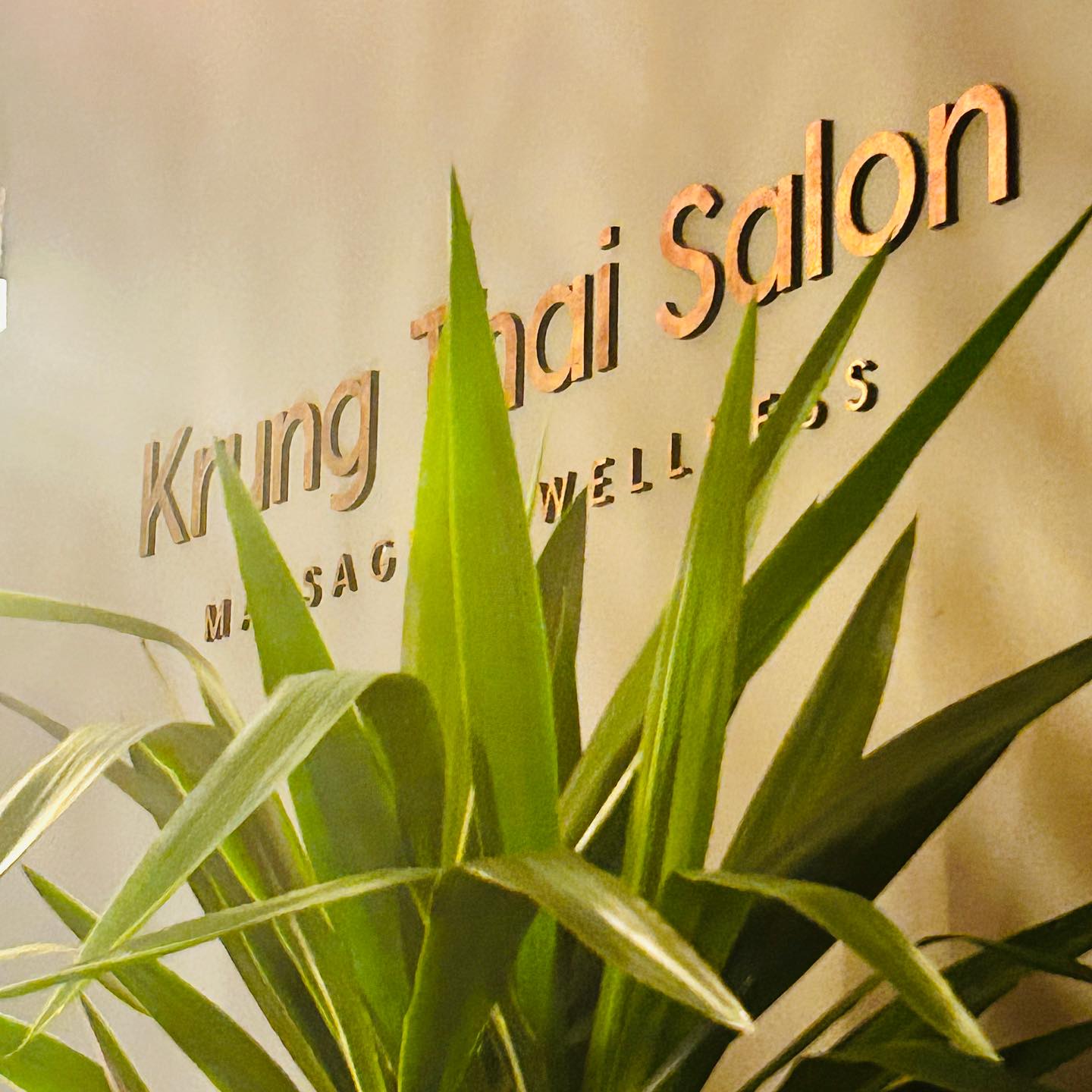 Krung Thai Salon (IMG5)